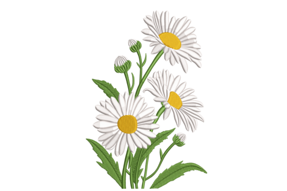 Daisy Stems – Fresh Spring